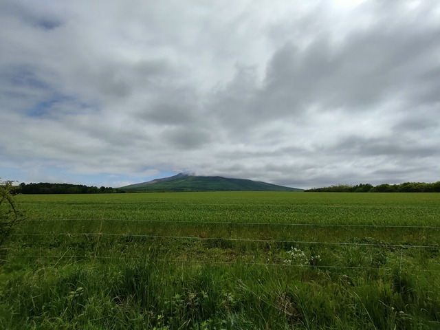IMG20260525093443