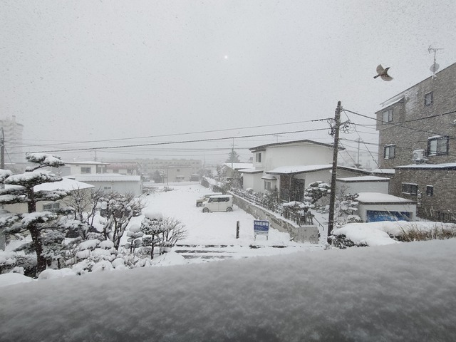 IMG20231125104720