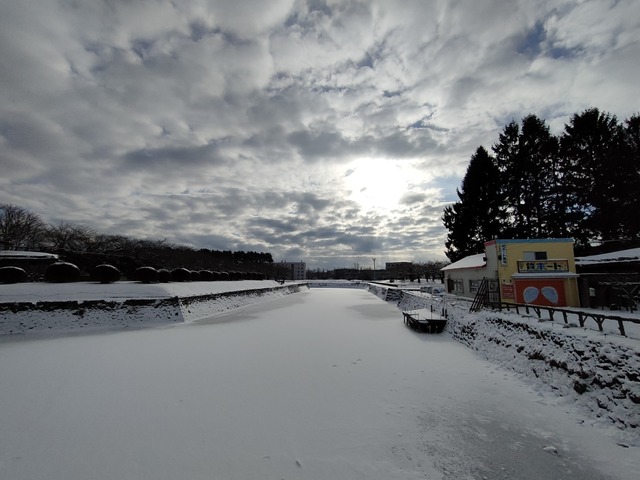 IMG20240111092145