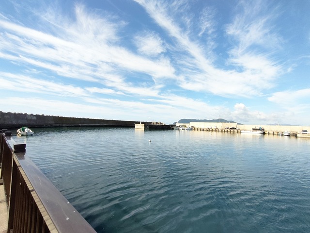 IMG20250818083449