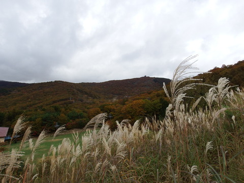 DSCF7090