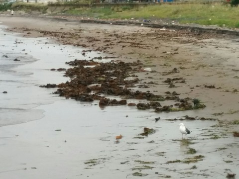 [画像:a9234757-s.jpg]