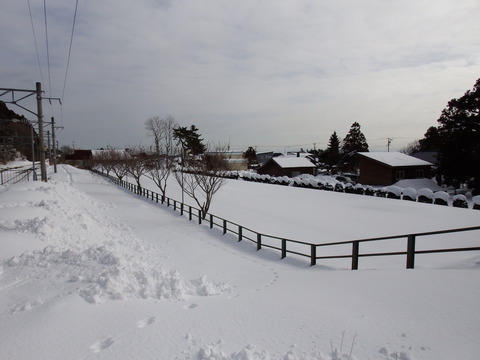 DSCF3892