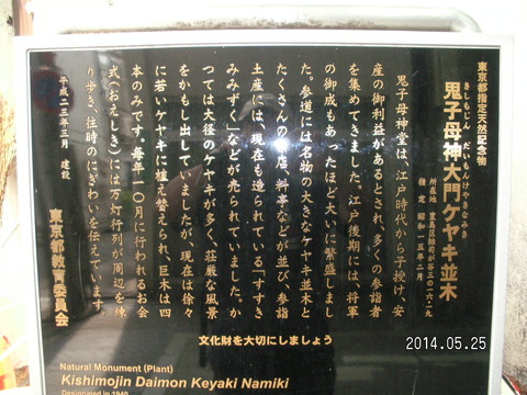 RIMG3839