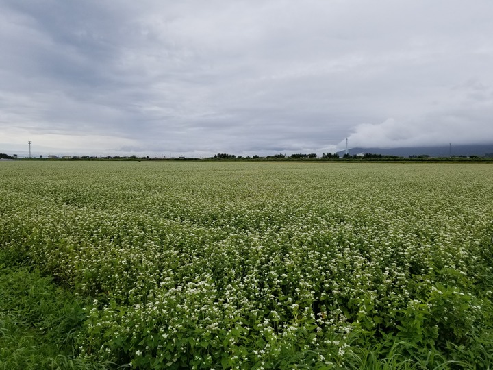 20190722_101205