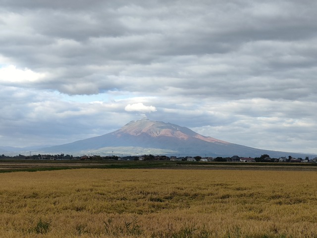 IMG20221020075754