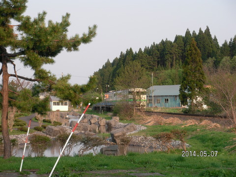 RIMG3604