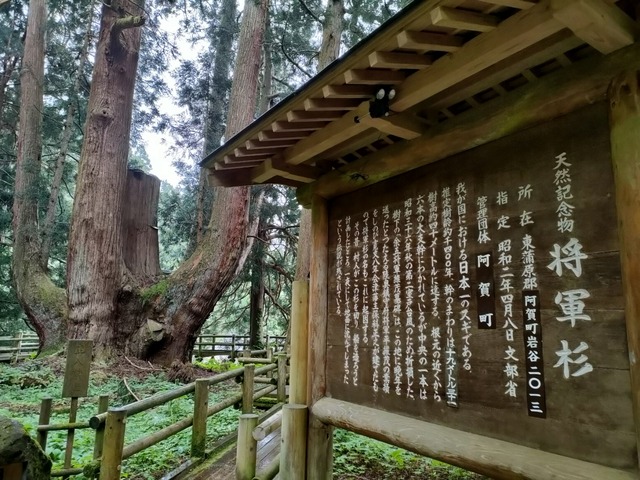 IMG20230519113540