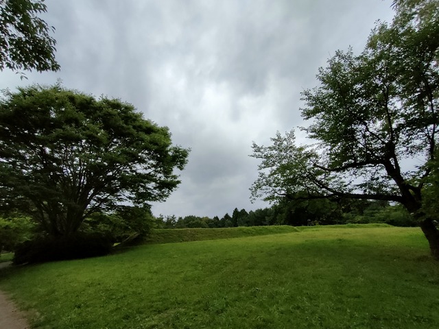 IMG20260824125138