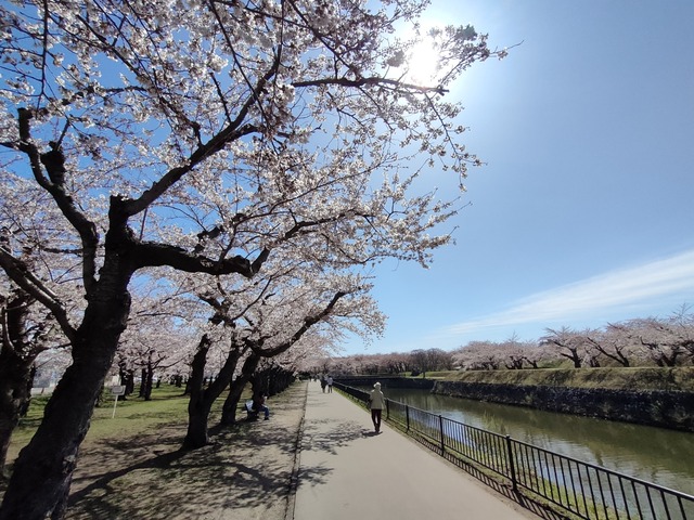 IMG20240422092606