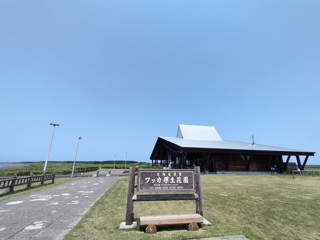 IMG20240711105139