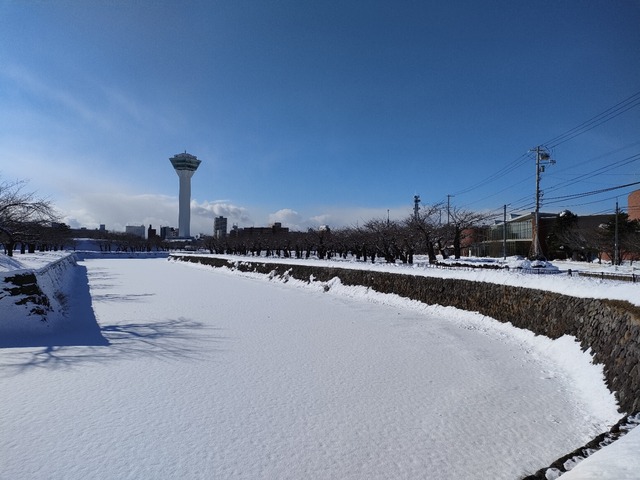 IMG20230209094125