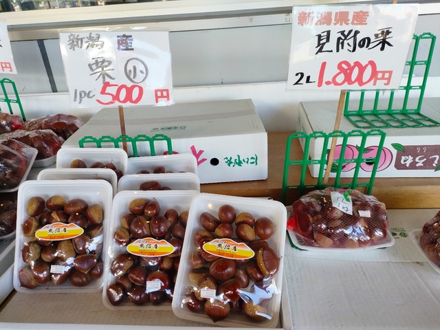 IMG20241013100712