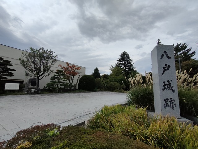 IMG20231019130300