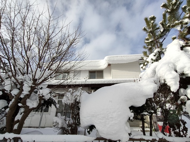 IMG20221220090411