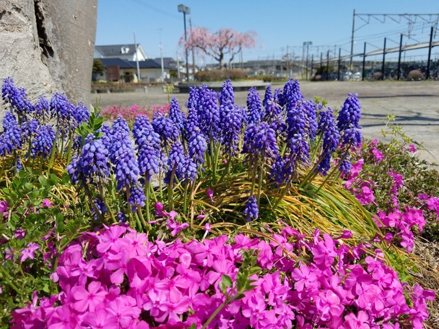 IMG_20220417_095629