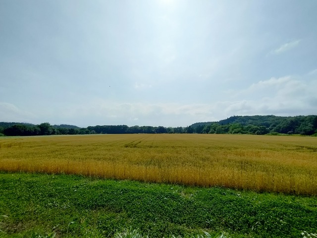 IMG20250706145023