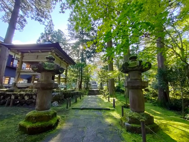 IMG20241013082155