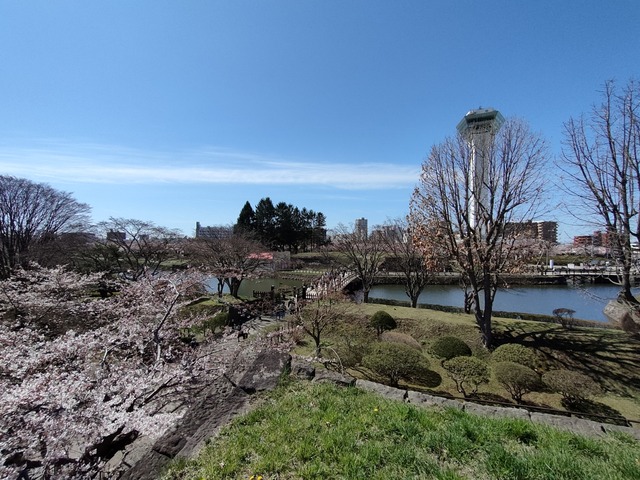 IMG20240422095327