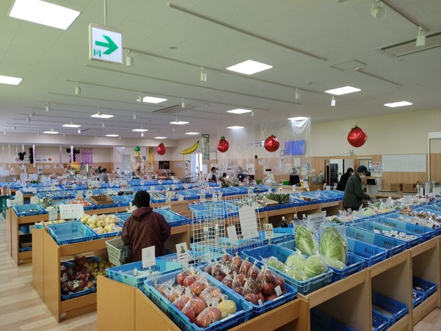IMG20221020084047