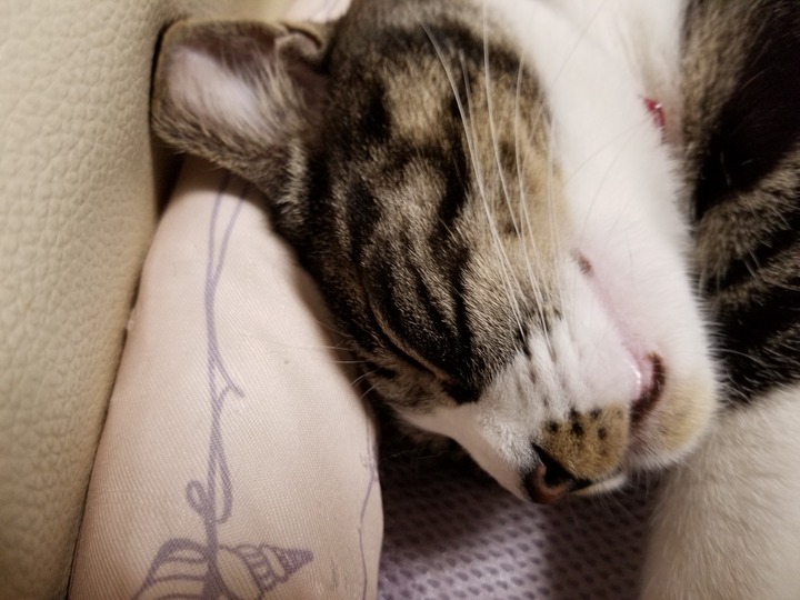 20190427_185237