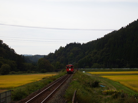 DSCF6555