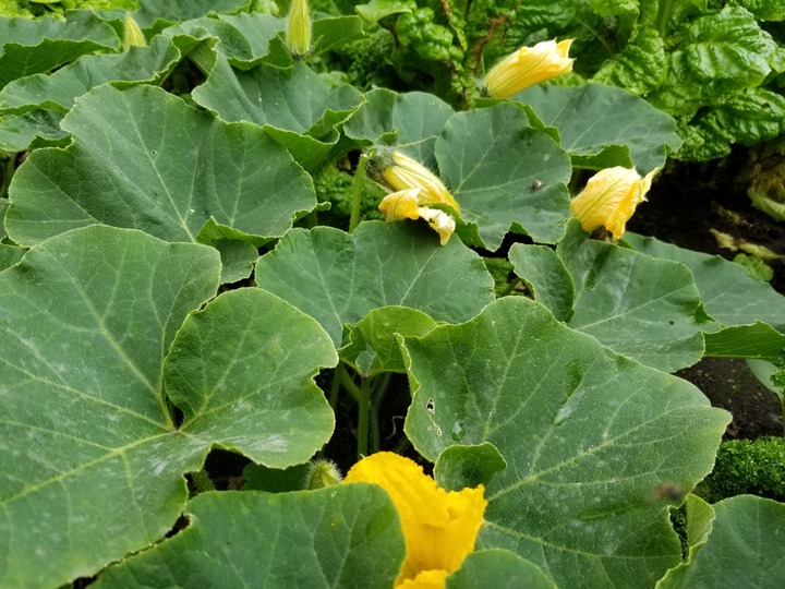 20190730_082743