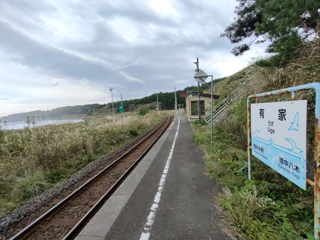 IMG20231019102809