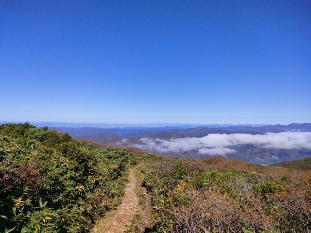 IMG20221014093948