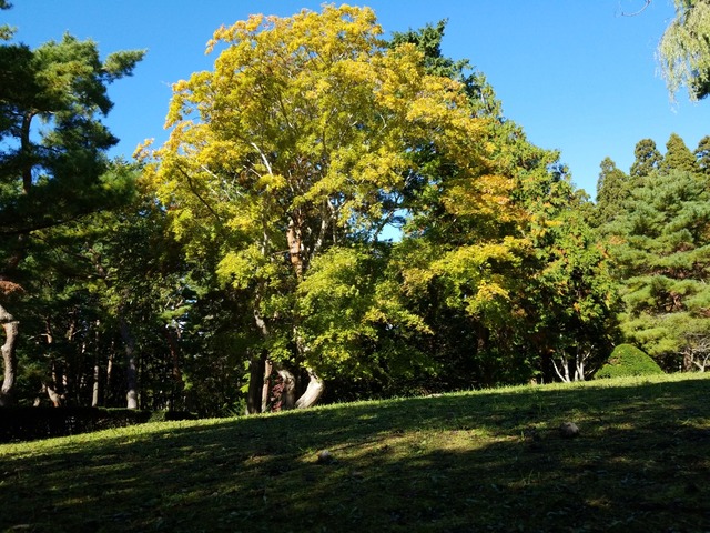 IMG_20211023_102729