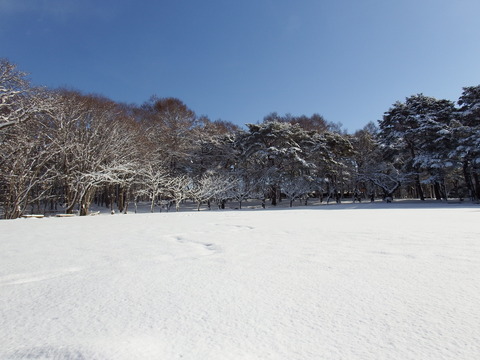 DSCF7189