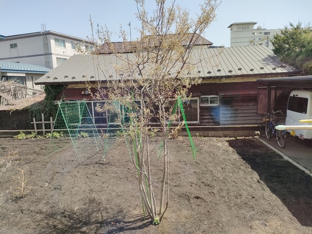 IMG20240426103815