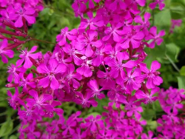 IMG_20210620_142450