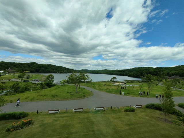 IMG20230618094535