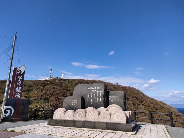 IMG20221018102452