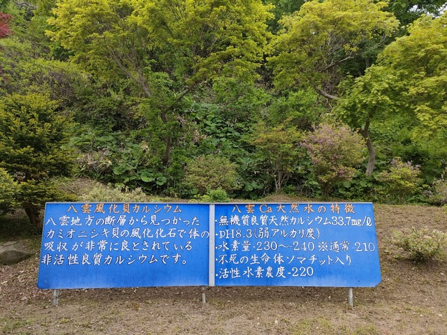 IMG20260521124933
