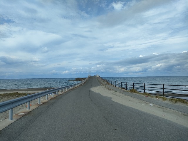 IMG20221017101621