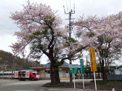 DSCF5314