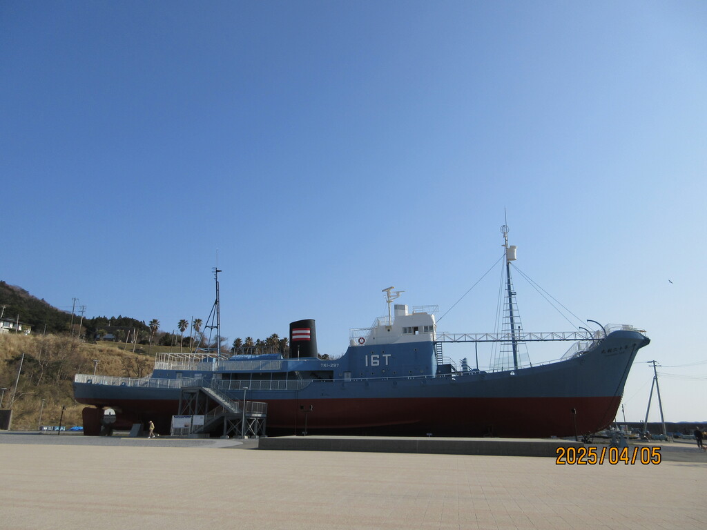 【送料込】　クジラの歯（石巻市鮎川港） 金華山 鯨の貯金箱おまけ付き 送料込】 クジラの歯（石巻市鮎川港） 金華山 鯨の貯金箱おまけ