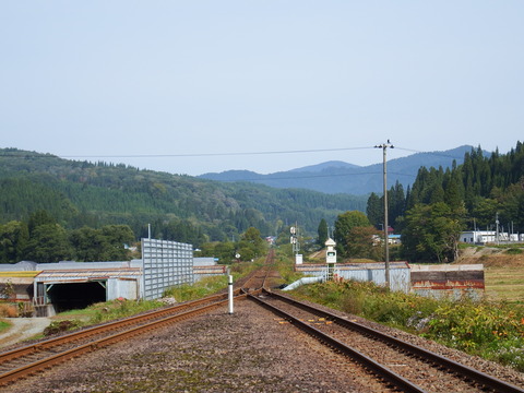 DSCF6550