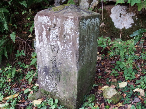 DSCF7424