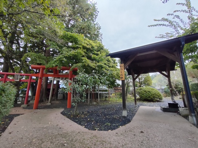 IMG20231020084641