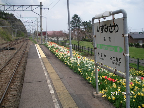 RIMG3561