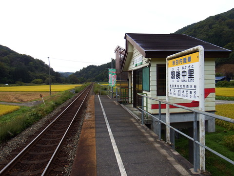 DSCF6556