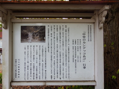 DSCF6557