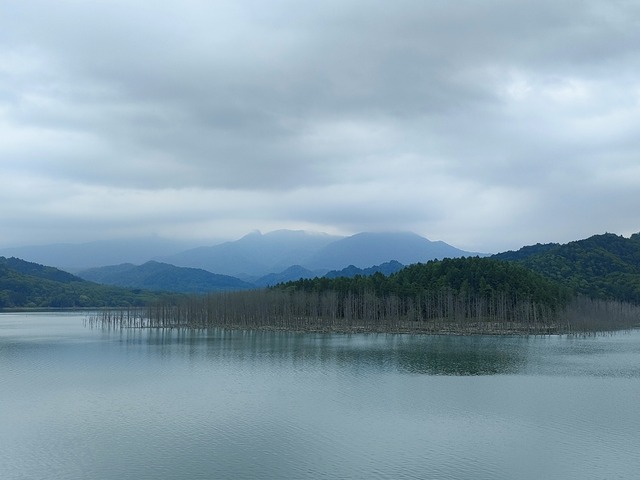 IMG20230617125934