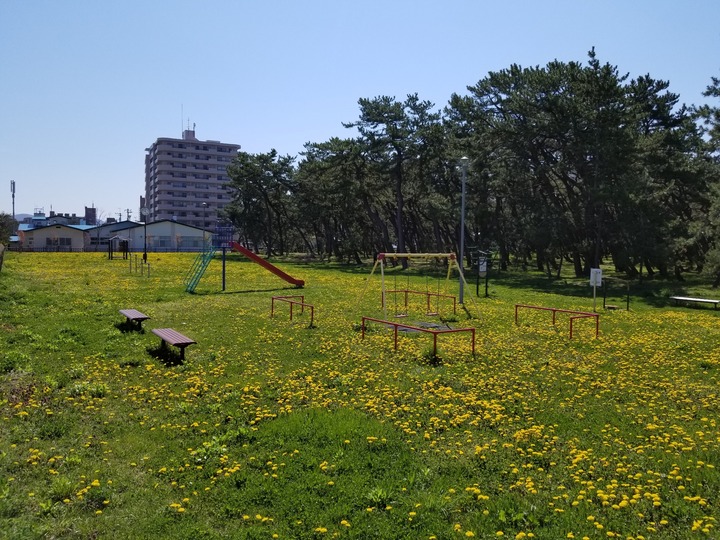 20200508_092234