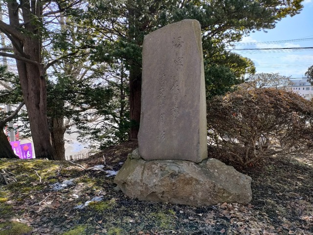 IMG20240316100910