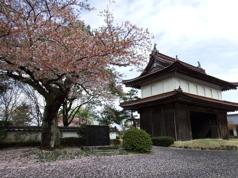 DSCF5340