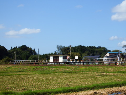 DSCF6481
